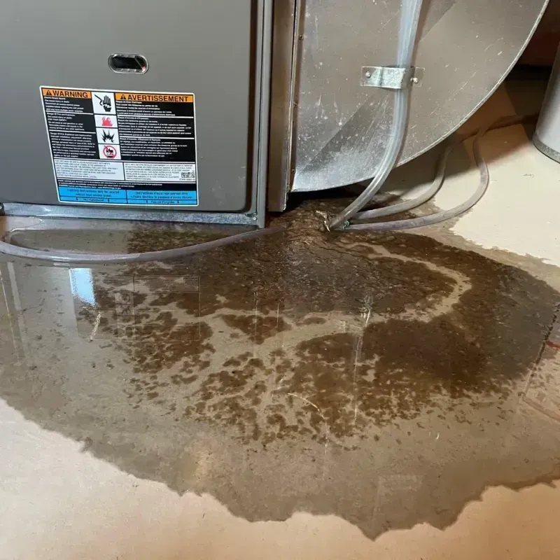 Appliance Leak Cleanup in Orchard Park, NY